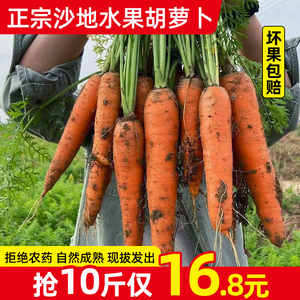 河南沙地水果红萝卜10斤红心脆甜生吃水果型新鲜胡萝卜沙地蔬菜5