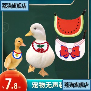 小鸭子宠物衣服柯尔鸭穿的围脖项圈小鸡可爱装饰养鸭子的生活用品