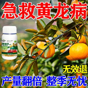 黄龙病果树专用药柑橘黄化修复剂桔子叶子发黄防落果叶面肥营养液