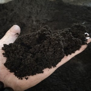 新品东北黑色泥土壤长白山有机天然腐殖土养花种菜果蔬育苗通用