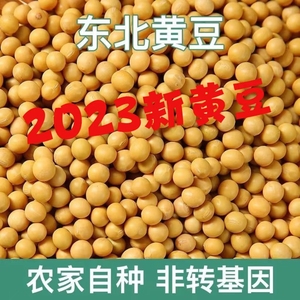 2023新黄豆东北大豆农家自种非转基因打豆浆专用笨白豆腐干豆腐生