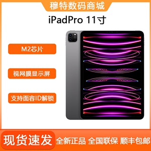 Apple/苹果 11 英寸 iPad Pro 平板电脑