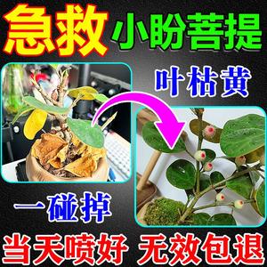 小盼菩提专用肥绿植叶子发黄掉叶家庭化肥养花通用叶面喷施有机肥