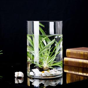 玻璃插花瓶圆口30水培器皿龟背竹水养春雨春羽植物专用花盆40cm高