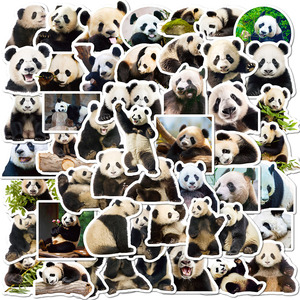 100张熊猫写实贴纸手机可爱大熊猫装饰笔记本水杯防水手账本贴画