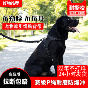 狗牵引绳中型犬金毛拉布拉多萨摩耶边牧犬背带加粗八股狗绳防爆冲