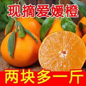 四川爱媛38号果冻橙10斤新鲜橙子冰糖甜橙子橘子榨汁专用脐整箱