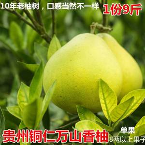 贵州铜仁万山香柚9斤装送开柚器 白心小柚子红色袋装柚子孕妇水果
