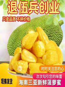 1黄肉干苞泰国珍珠菠萝蜜海南水果新鲜整箱当季假榴莲波罗蜜