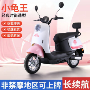 2024新款豪晨小龟王电瓶车4860V72V电动摩托车复古两轮锂电代步车