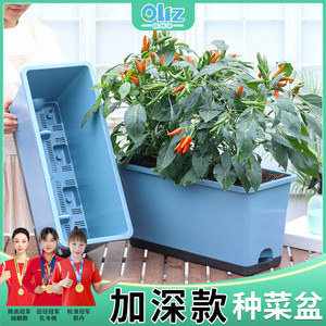 阳台种菜盆专用长方形大号加深懒人自吸水塑料花盆家用室内种植