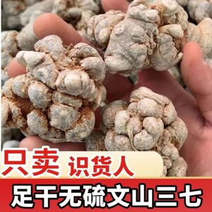 云南文山三七粉20头优质【直播间专享体验装】