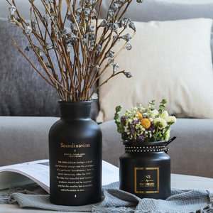 北欧现代简约黑色小花瓶摆件客厅白色哑光插花玻璃瓶ins风高级感