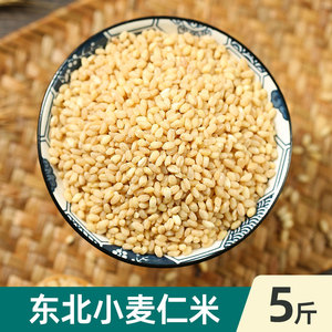 2023新东北小麦仁米脱皮新鲜大麦黑麦青稞食用煮粥去皮麦子粒5斤