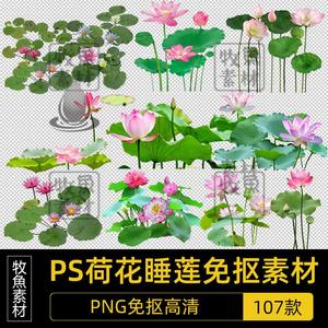 PS高清荷花莲花睡莲荷叶园林景观水生植物后期效果图PNG免抠素材