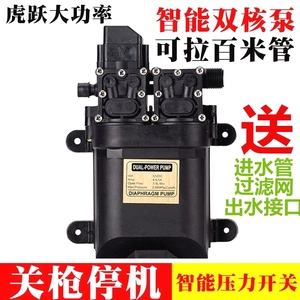 日本进口洗车大功率2水泵12v泵双核泵电动智能消毒增压电动喷雾器