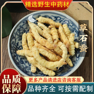 草石蚕500克精品中药材手选地蚕土冬虫草白虫草中草药店铺大全