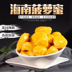 海南菠萝蜜新鲜水果包邮波罗蜜当季整箱10-35斤一整个三亚特产