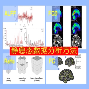 静息态功能磁共振rs-fMRI静息态数据分析方法指标计算ALFF fALFF