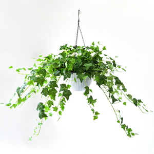 吊兰垂吊植物仿真爬山虎盆栽吊篮绿植装饰塑料墙壁挂室内假花藤条
