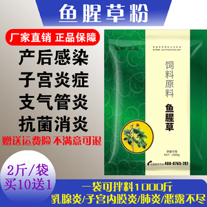 鱼腥草粉兽用猪牛羊抗菌消炎母畜产后消炎子宫内膜炎乳腺炎消炎药