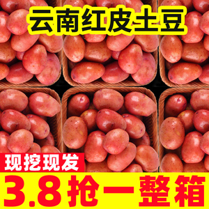 红皮土豆新鲜10斤马铃薯应季蔬菜云南特产红皮小洋芋黄心土豆包邮