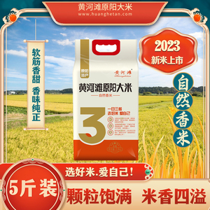 黄河滩河南原阳大米优质大米大米5斤装独立天然新米自然香米