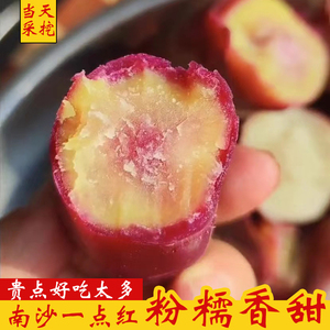 正宗广州南沙一点红番薯板栗紫薯冰淇淋红薯新鲜农家自种粉糯香甜