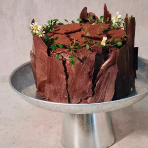 福Fu北京配送不一样的黑森林蛋糕动物天然奶油生日蛋糕甜品巧克力