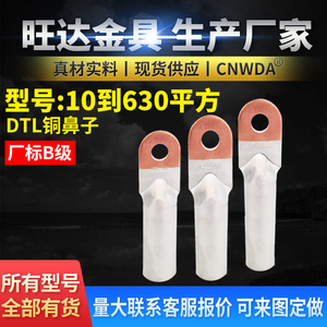 铜铝鼻子DTL-35MM 铜铝过渡接头 电缆 铜铝接线端子线鼻B级20只装