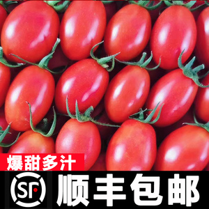 新鲜圣女果5斤水果自然熟西红柿子千禧果生吃小番茄蔬菜整箱包邮3