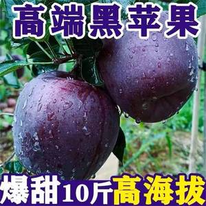 云南昭通黑卡苹果10斤黑砖苹果新鲜苹果当季罕见的水果助农FF