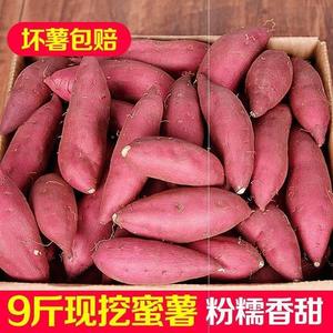 正宗海南地桥头富硒地瓜农家特产新鲜栗红沙薯10斤黄心桥板沙番薯
