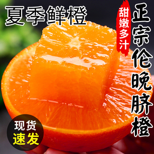 正宗秭归伦晚脐橙10水果新鲜当季整箱斤手剥榨汁专用甜橙大果橙子