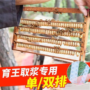 蜜蜂育王取浆全套双排单排王浆条取浆框养蜂工具中蜂意蜂王浆架