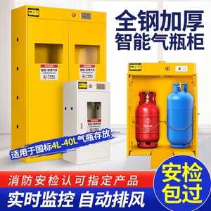 气瓶柜防爆安全柜煤气罐柜乙炔氧气液化气体双瓶实验室钢瓶储存箱