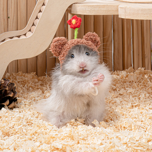 仓鼠帽子小宠物头饰可爱头套金丝熊迷你装饰花枝鼠针织毛线帽用品
