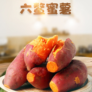 福建六鳌蜜薯 5/9斤新鲜糖心红蜜薯板栗味香糯番薯板栗味生地瓜