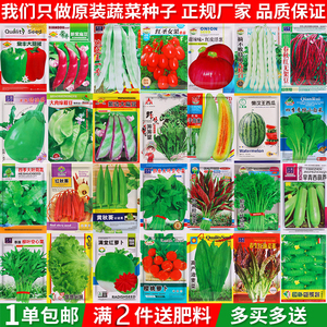 四季蔬菜种子菜种籽秋季香菜菠菜生菜小白菜萝卜蔬菜种孑籽种大全