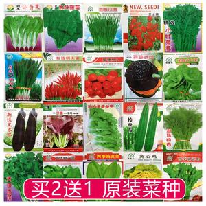 买2送1！四季蔬菜种子种籽菜籽种彩色包装生菜种孑辣椒白菜青菜种
