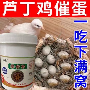 芦丁鸡鸽子鹌鹑鹦鹉增蛋芦丁鸡专用产蛋鸟用芦丁蛋多多饲料添加剂