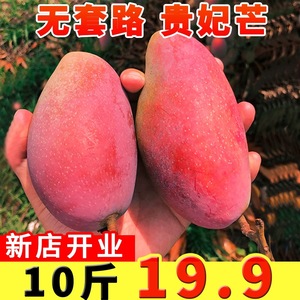 海南贵妃芒新鲜现摘水果3/5/10斤装红金龙小贵妃芒果大果树上整箱