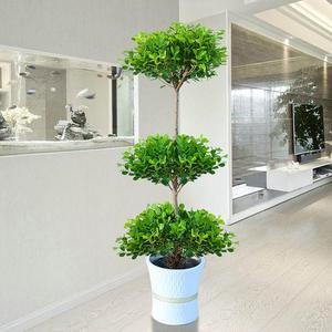客厅大型摇钱树盆栽办公室内植物发财树聚财造型盆景绿植四季好养