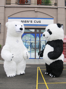 网红充气大熊猫卡通人偶服装北极熊抖音同款行走考拉泰迪熊玩偶服