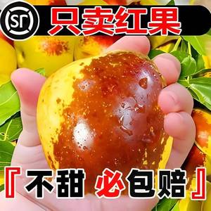 陕西新鲜大荔冬枣5斤水果整箱当季大枣枣子甜脆鲜枣冰糖东枣3包邮