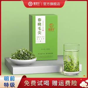 赋雅轩绿茶特级毛尖2023新茶明前嫩芽春晓毛尖蒙山茶四川特产茶叶