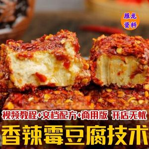 香辣霉豆腐做法技术配方 豆腐乳技术配方 豆腐乳加工制作视频教程