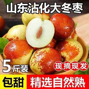 山东沾化冬枣应当季现货脆甜冬枣新鲜水果整箱5斤枣子包邮9斤冬季