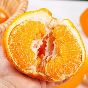 四川特级春见耙耙柑粑粑柑9斤橘子甜当季整箱新鲜水果丑柑桔包邮5