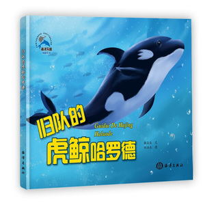 正版图书 归队的虎鲸哈罗德 糖朵朵海洋9787521002096
